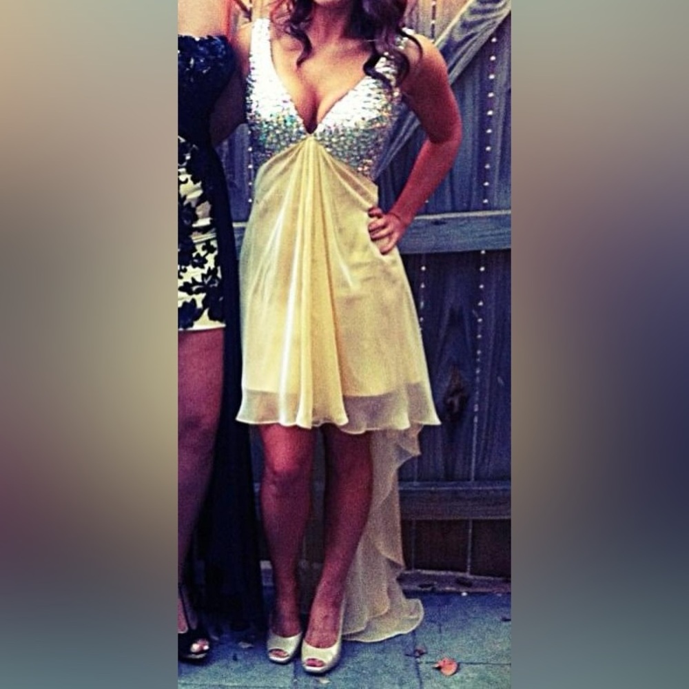 Custom Anjolique gown.